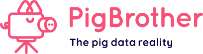 Pigbrother
